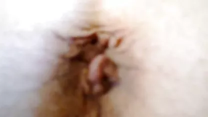 Lesbian, shemales, dan alat kelamin video sex indo mp4 mereka - kompilasi porno keren